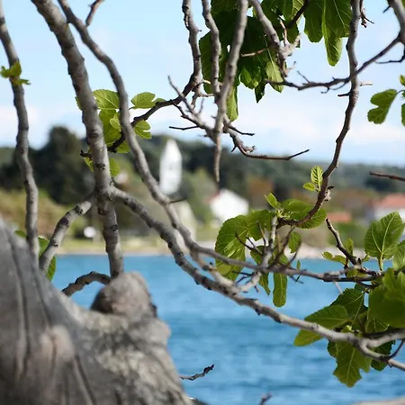 شقة Katarina فيلي رات