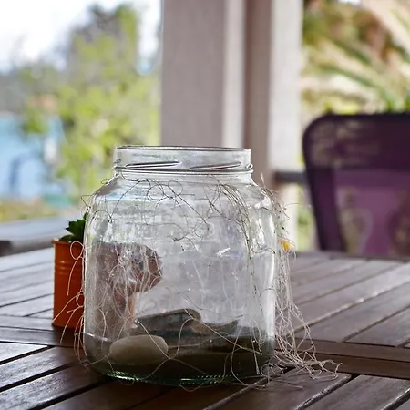 Katarina * فيلي رات