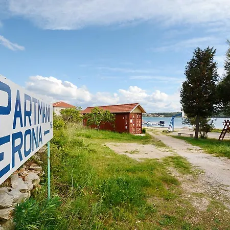 Katarina فيلي رات