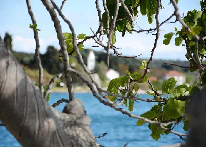 Apartament Katarina Veli Rat